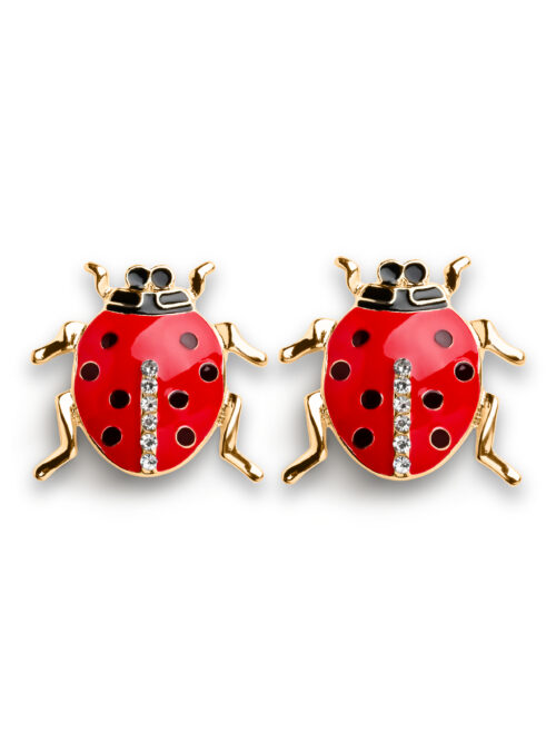 Ladybug